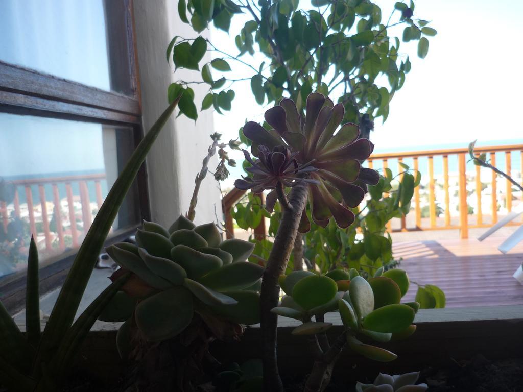 A1 Kynaston Self Catering Or Bed And Breakfast Jeffreys Bay Exteriér fotografie