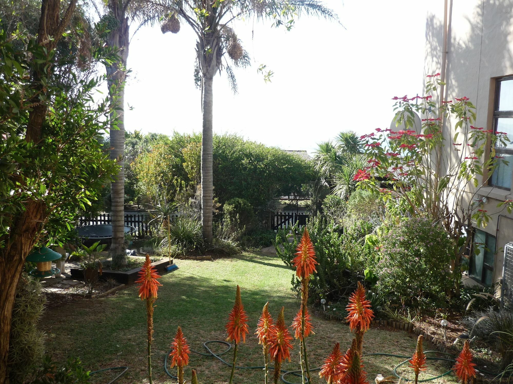 A1 Kynaston Self Catering Or Bed And Breakfast Jeffreys Bay Exteriér fotografie